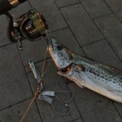 ☆2連続ラインブレイクの末に