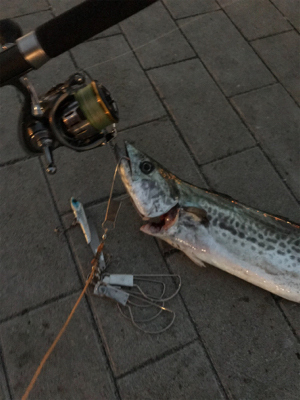 ☆2連続ラインブレイクの末に