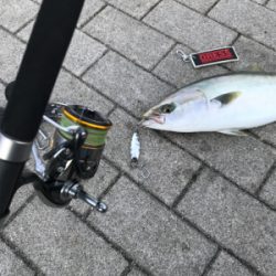 ☆3日で4回釣行