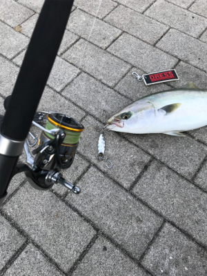 ☆3日で4回釣行