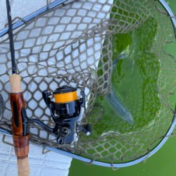 管釣り　大阪府