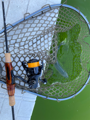 管釣り　大阪府