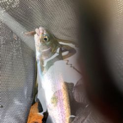 久しぶりのエリア