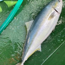 和歌山 Bigoneさんにてオフショア