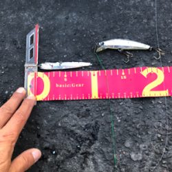 2日間唯一の釣果!!