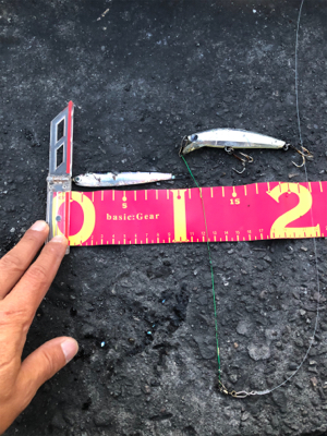 2日間唯一の釣果!!