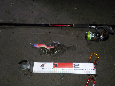 ヒラメくん元気