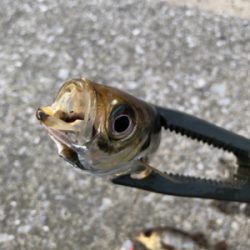 どうにかならんかな〜