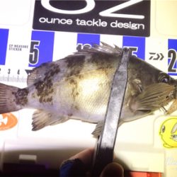 ワームで釣れない時はプラグで！