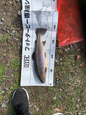 フィッシュオン王禅寺にて…