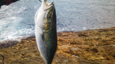 ショアキャスティング