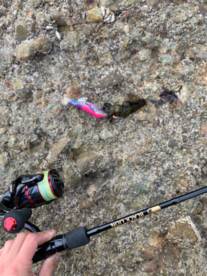 まともなエギングは初めて？笑