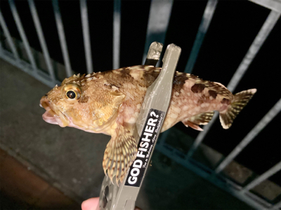 本格的な冬到来、今夜は寒い!