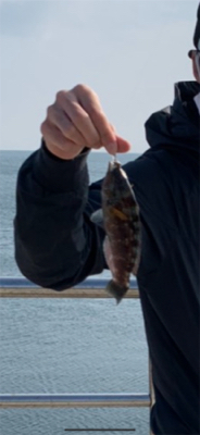 アジングのはずが…