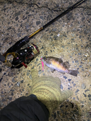 寒い中、なんとか釣れました〜