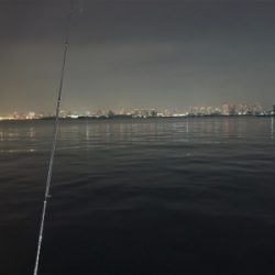 サッパ　コノシロ