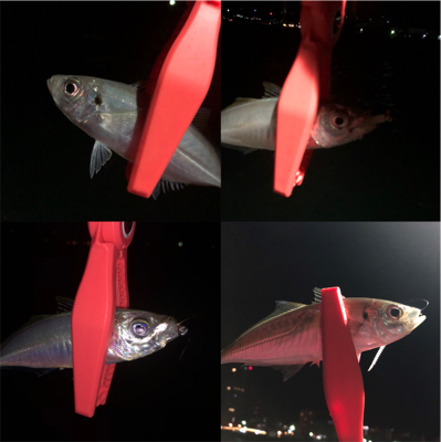 寒さに負けるな