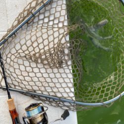 服部緑地　満員です。