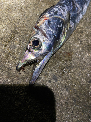 爆風の中、、、