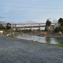 エリアトラウト