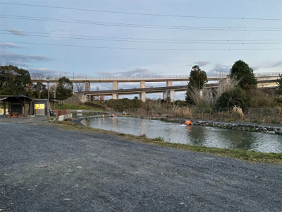 エリアトラウト