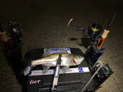 ライトゲーム チーバス