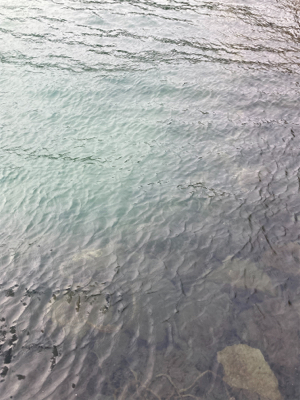 朝マズメにヒラスズキ釣果！！