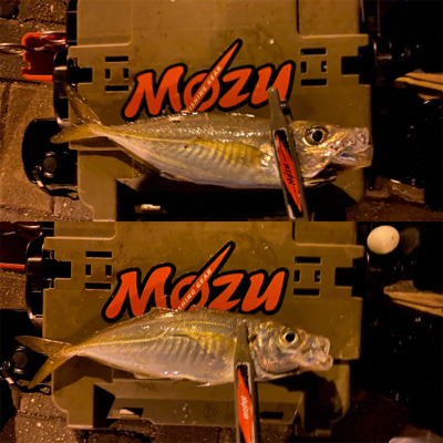 シャローフリークF