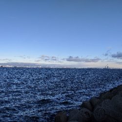 今年最後かな〜？