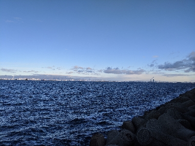 今年最後かな〜？