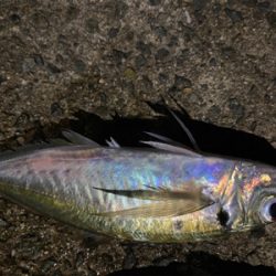 フロートアジング