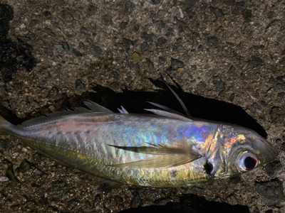 フロートアジング