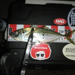 今日も爆風アジング