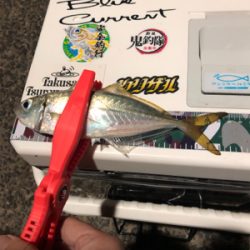 Newロッドの鱗付け