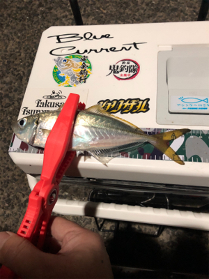 Newロッドの鱗付け