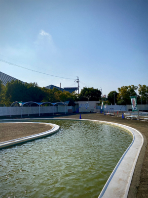 岸和田フィッシングパーク