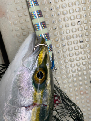 オフショア納め