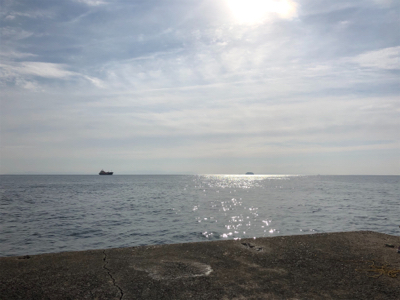 久しぶりのメジロ