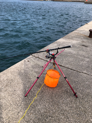 クリスマスアオリ