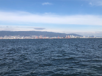 ハマチとサゴシ終了?