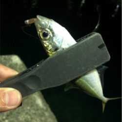 癒しのライトゲーム♪