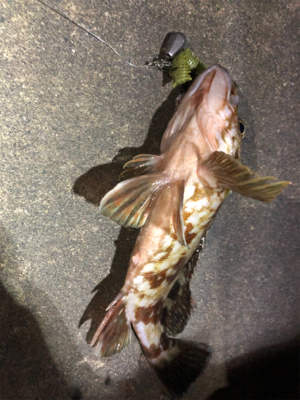 チニングがガシラングに