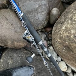 朝マズメのタチウオ釣果！！