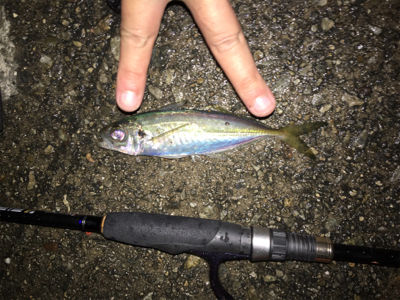 初ライトフィッシング