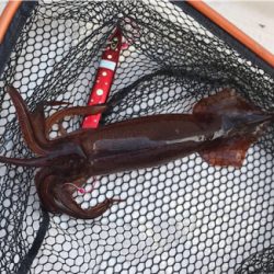 2020 釣り納め釣行