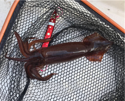 2020 釣り納め釣行