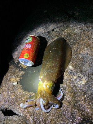 サイズが伸びず…