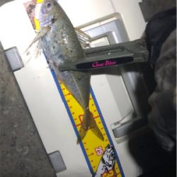 ベイトアジング