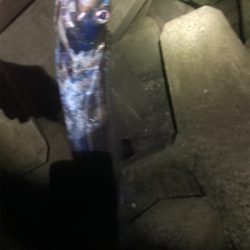 太刀魚美味いよね！