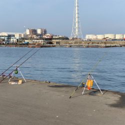 今年の釣り納めは、深日港にて、カレイ釣り